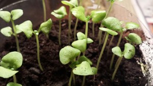 20150221_180357_resized