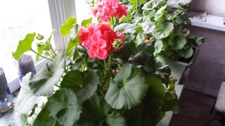 20150330_181745_resized