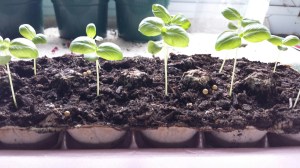 20150330_181947_resized