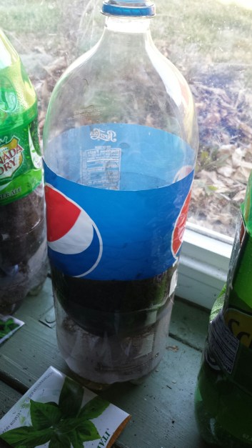 20160306_160956.jpg image