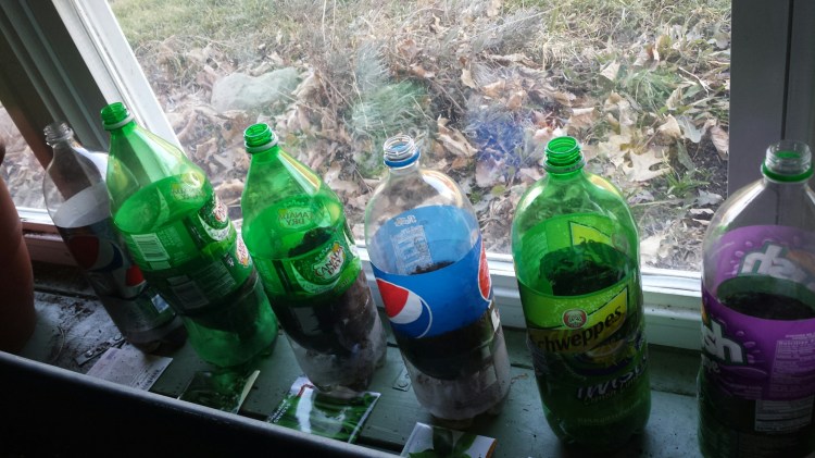 20160306_161007.jpg image