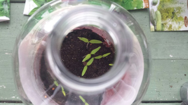 20160316_081706.jpg image