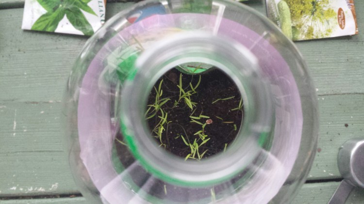 20160316_081803.jpg image