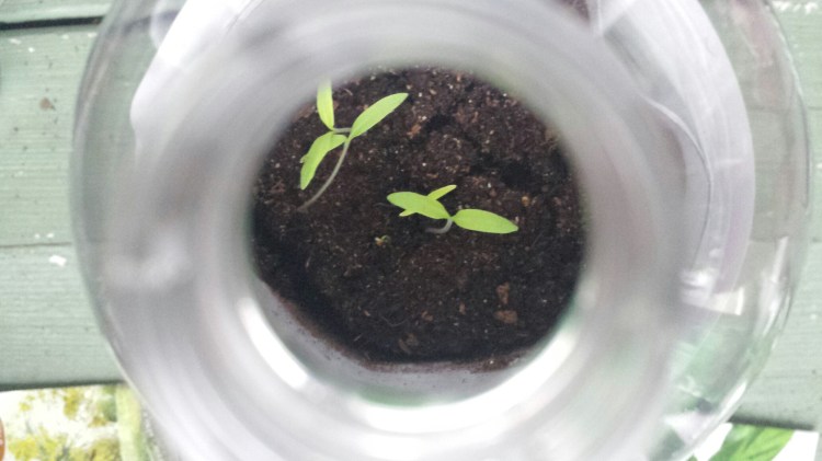 20160316_082103.jpg image